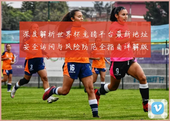 深度解析世界杯竞猜平台最新地址安全访问与风险防范全指南详解版
