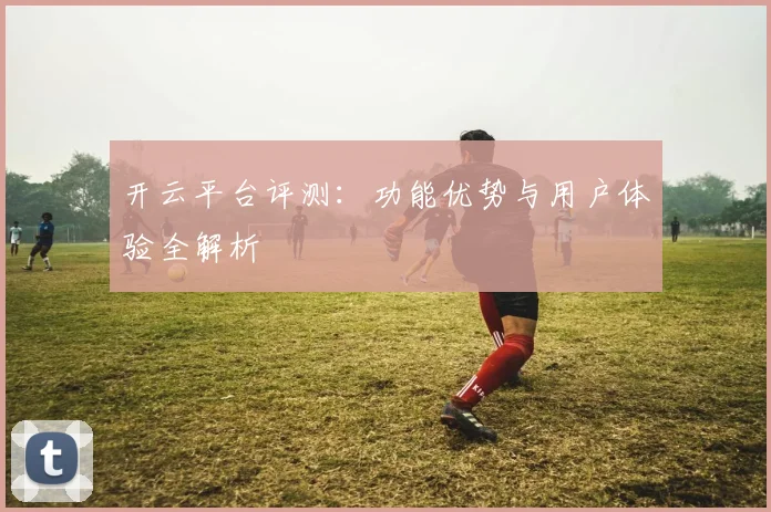 开云平台评测：功能优势与用户体验全解析