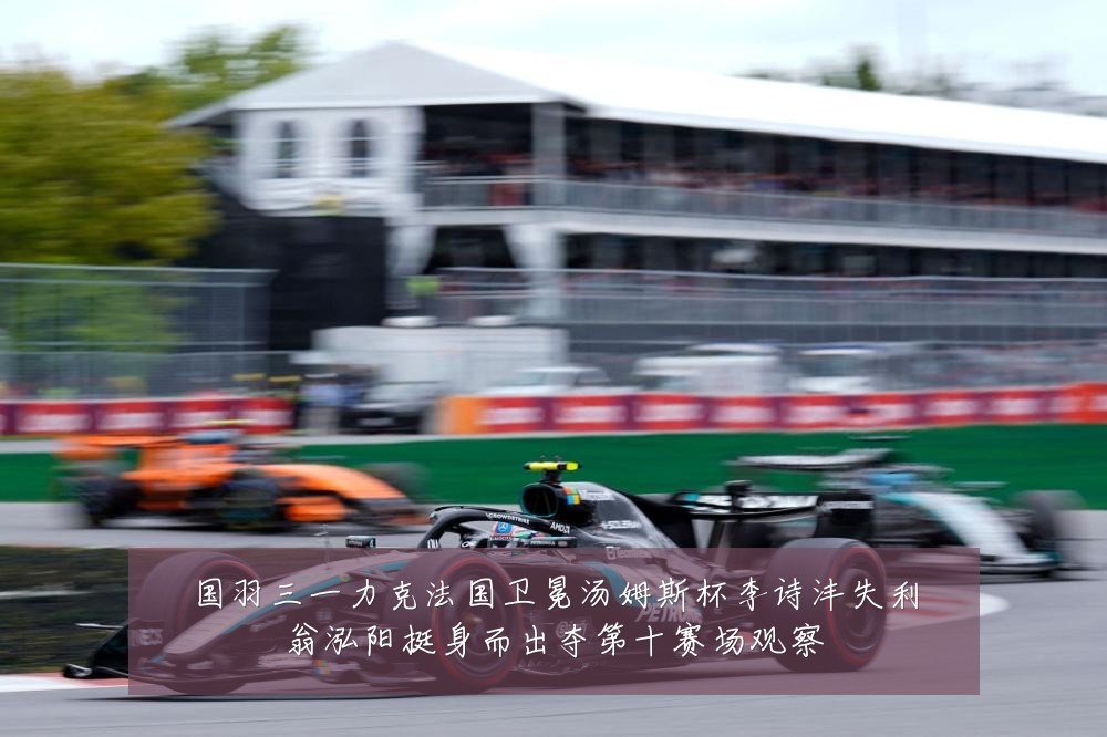 国羽三一力克法国卫冕汤姆斯杯李诗沣失利翁泓阳挺身而出夺第十赛场观察