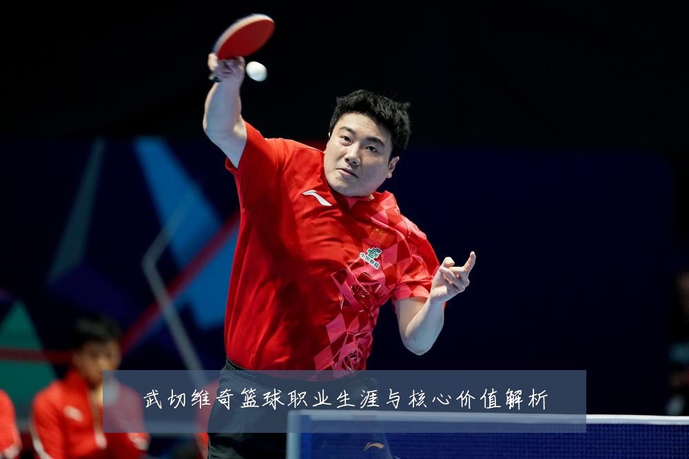 武切维奇篮球职业生涯与核心价值解析