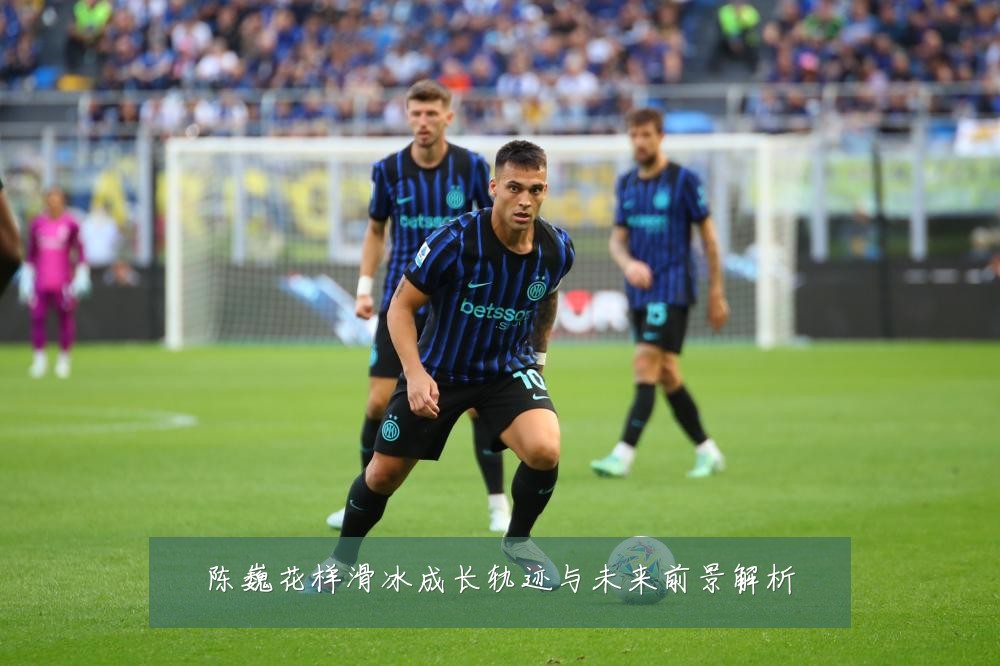 陈巍花样滑冰成长轨迹与未来前景解析